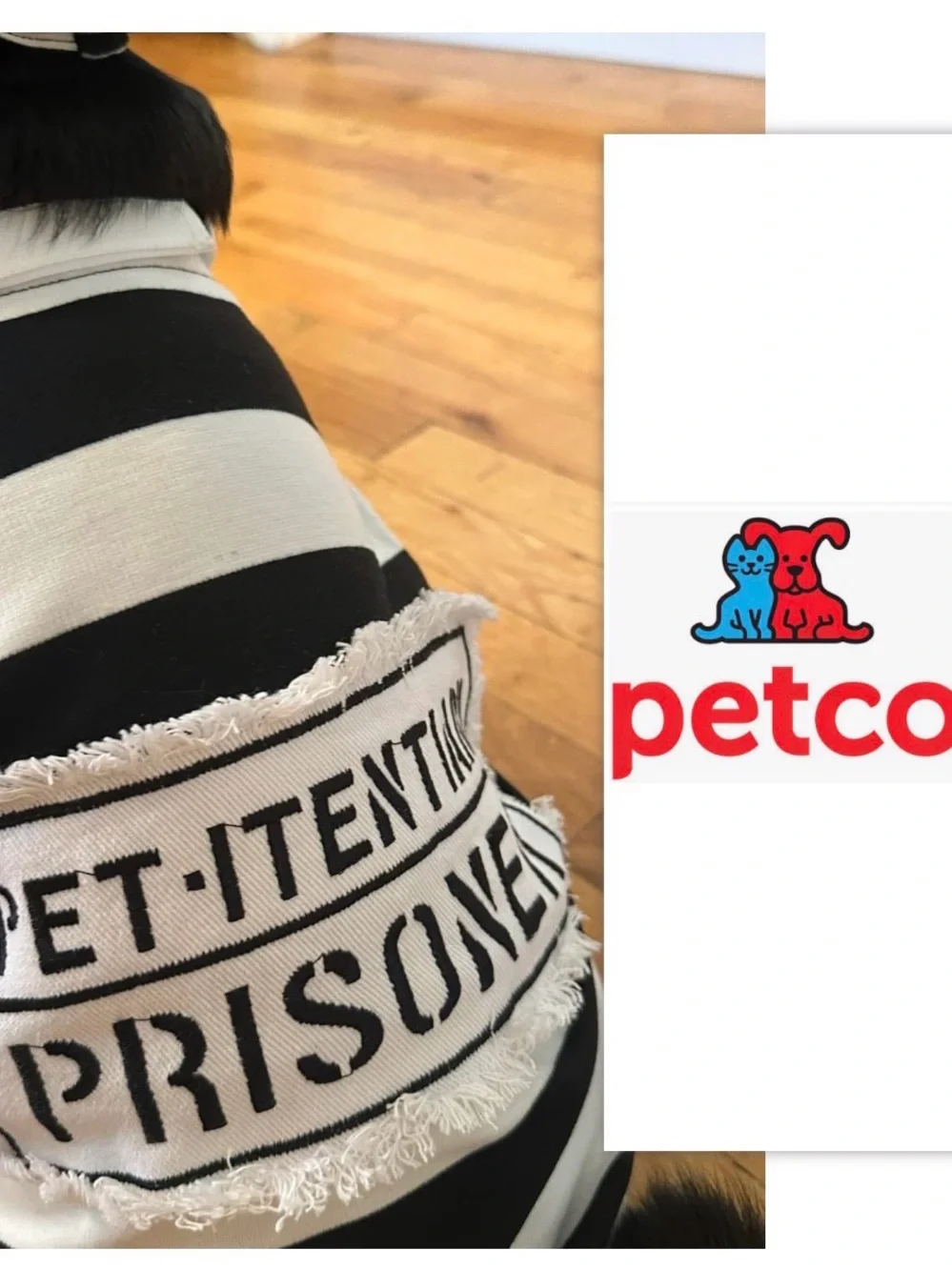 This Petco Bootique 